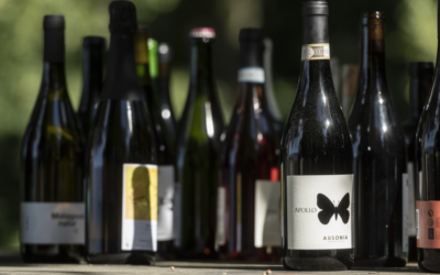 Warum sind Naturweine und biodynamische Weine so gefragt?