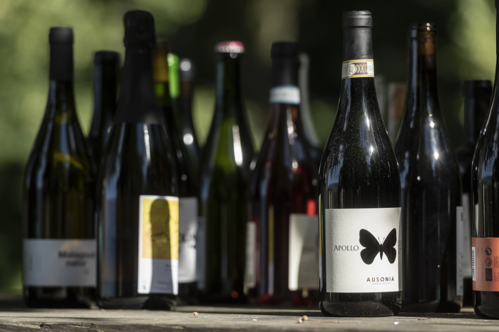 Warum sind Naturweine und biodynamische Weine so gefragt?