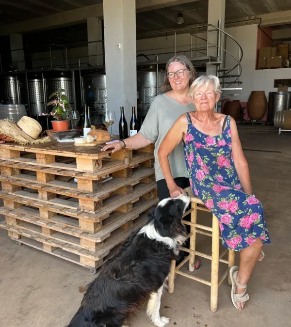 CATI RIBOT VE D‘AVIOR