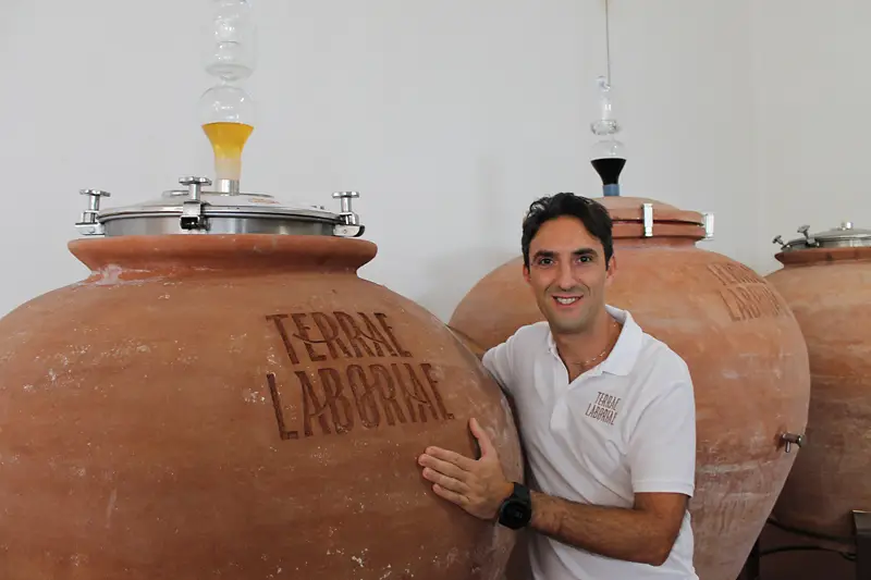 Terrae Laboriae – Naturwein aus Kampanien